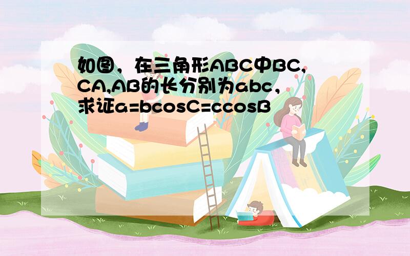 如图，在三角形ABC中BC,CA,AB的长分别为abc，求证a=bcosC=ccosB
