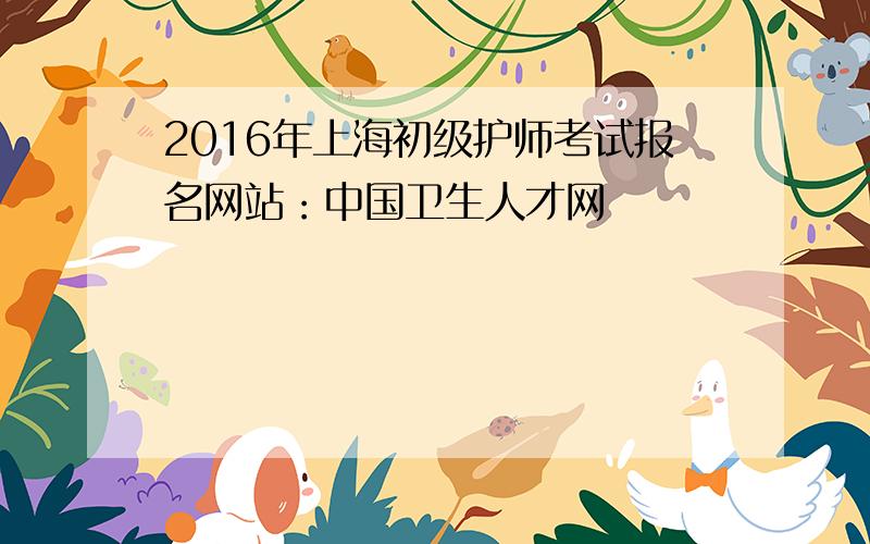 2016年上海初级护师考试报名网站：中国卫生人才网