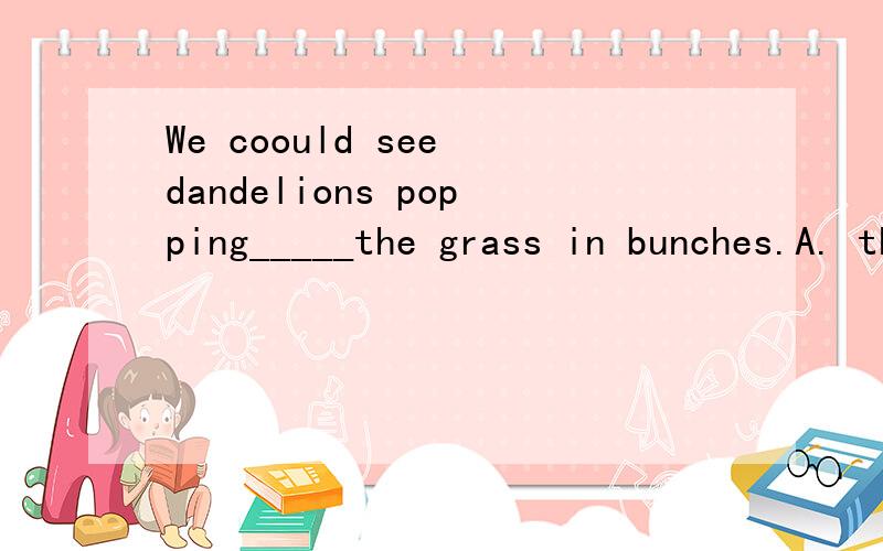 We coould see dandelions popping_____the grass in bunches.A. through      B.past      C.beyond      D.behind