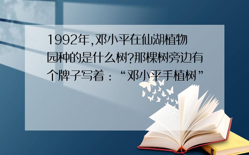 1992年,邓小平在仙湖植物园种的是什么树?那棵树旁边有个牌子写着：“邓小平手植树”