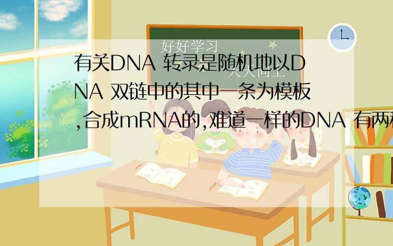 有关DNA 转录是随机地以DNA 双链中的其中一条为模板,合成mRNA的,难道一样的DNA 有两种转录的结果吗?还有个问题,到底哪条链见模板链?