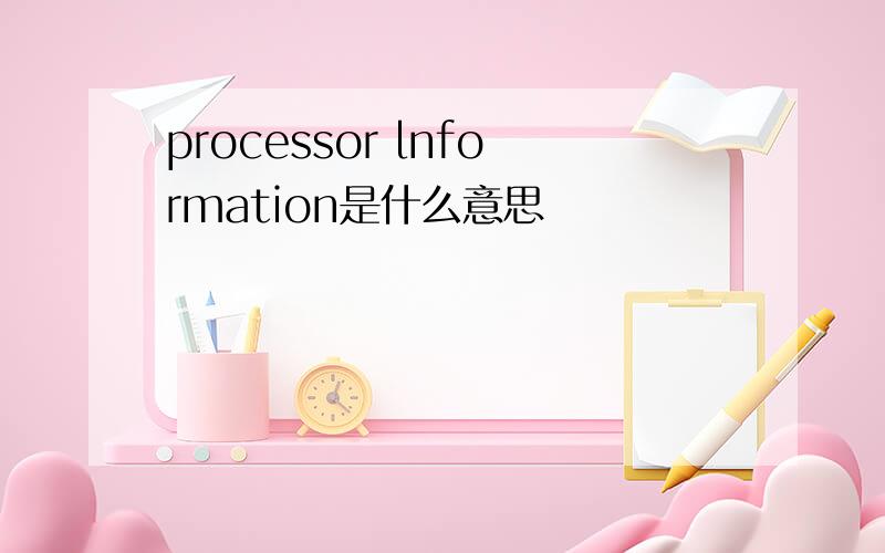 processor lnformation是什么意思