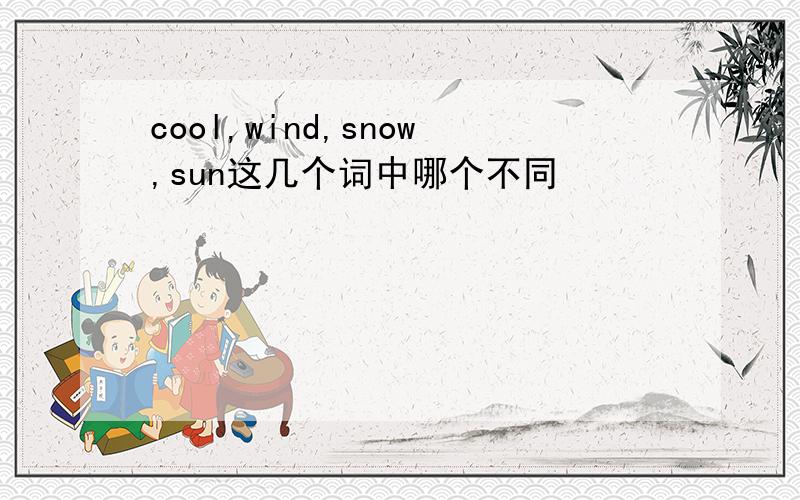 cool,wind,snow,sun这几个词中哪个不同