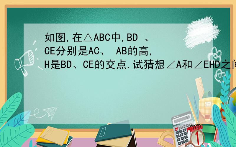 如图,在△ABC中,BD 、CE分别是AC、 AB的高,H是BD、CE的交点.试猜想∠A和∠EHD之间的数量关系,并证明你的猜想.图
