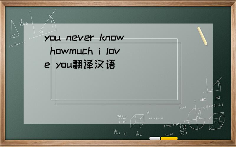 you never know howmuch i love you翻译汉语