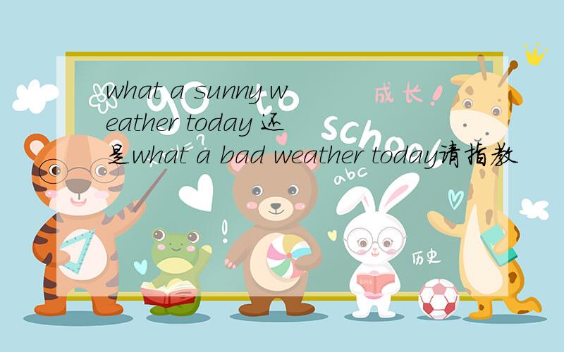 what a sunny weather today 还是what a bad weather today请指教