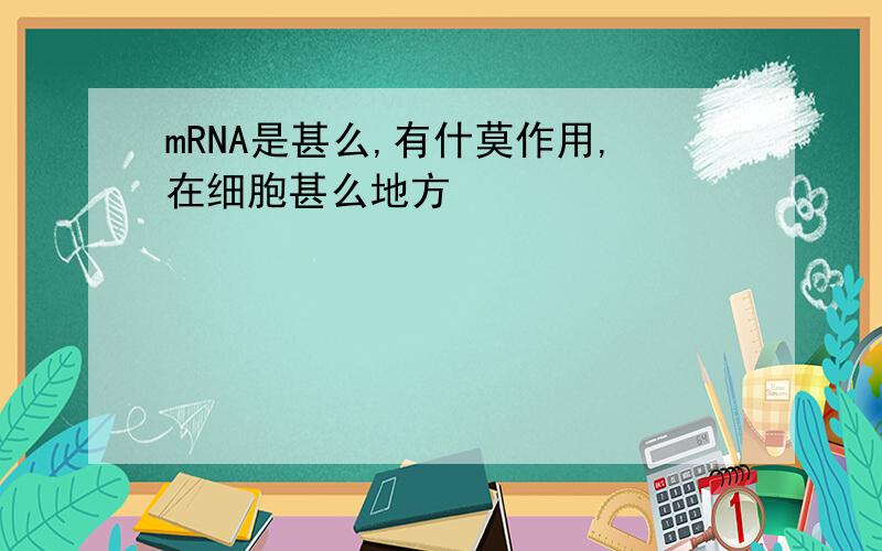 mRNA是甚么,有什莫作用,在细胞甚么地方