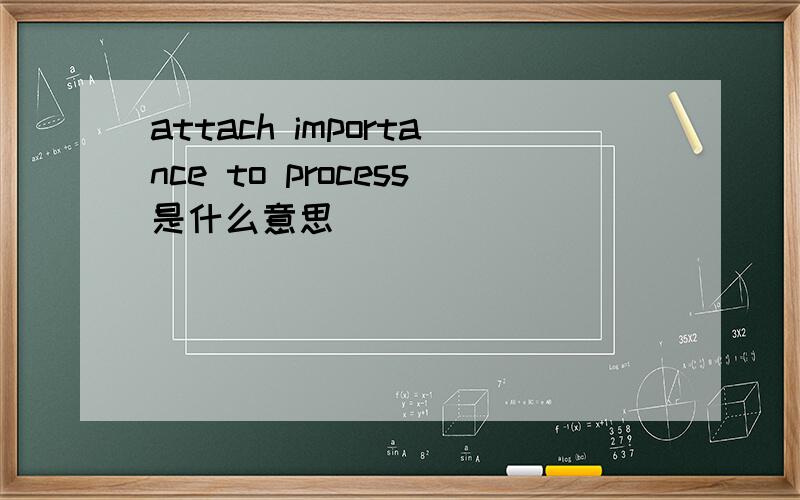 attach importance to process是什么意思