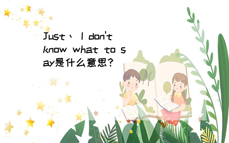 Just丶 I don't know what to say是什么意思?